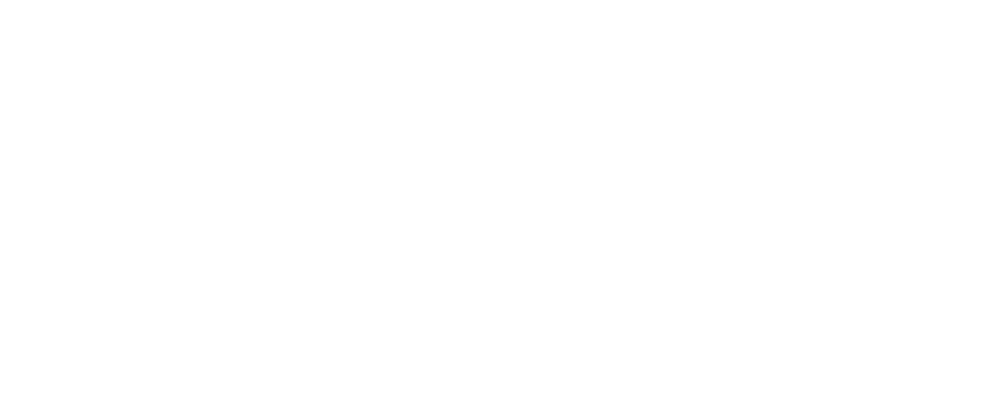 df_logo weiß 2