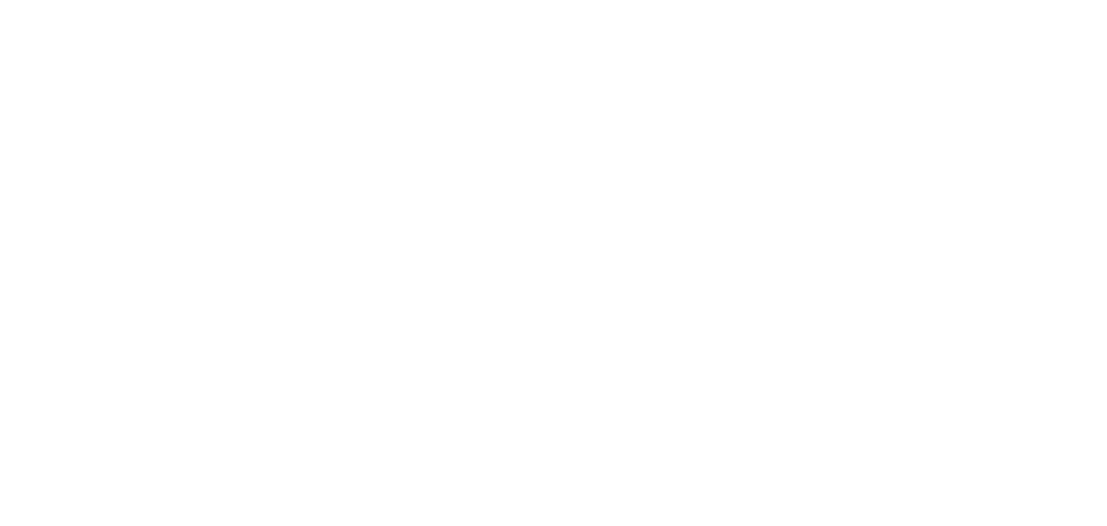 VISIONDATA Logo weiß